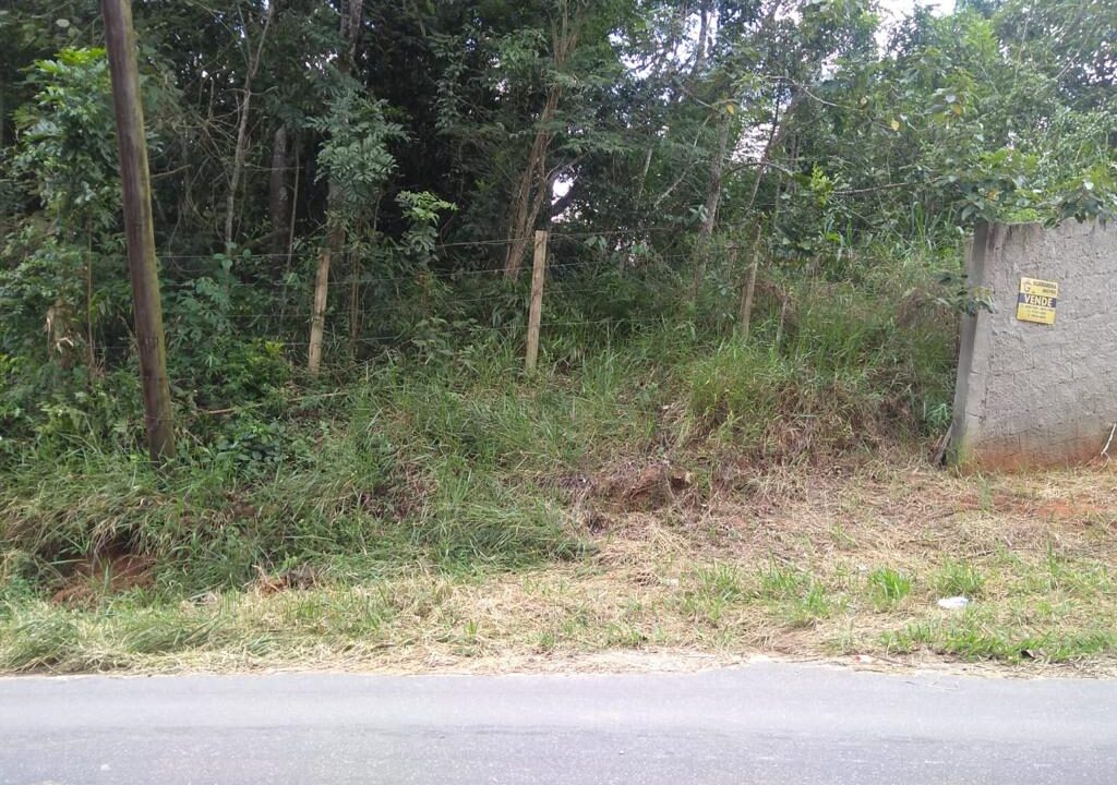 Imagem do WhatsApp de 2024-10-31 à(s) 14.23.48_174d7397