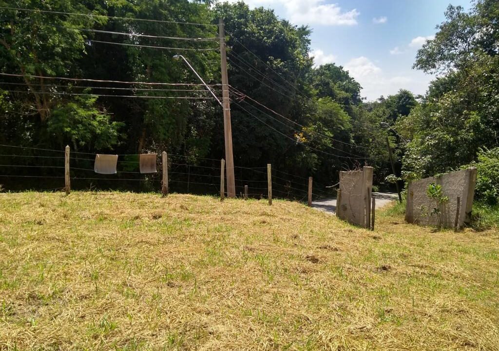 Imagem do WhatsApp de 2024-10-31 à(s) 14.23.52_455b492d
